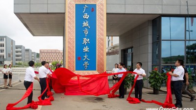 问鼎在线隆重举行更名揭牌仪式　
