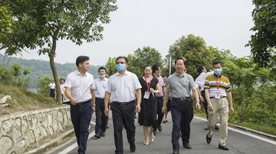 百色市考察组到问鼎在线(中国)参观考察