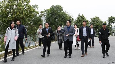哈工大大数据集团（广西）有限公司考察组到问鼎在线(中国)考察
