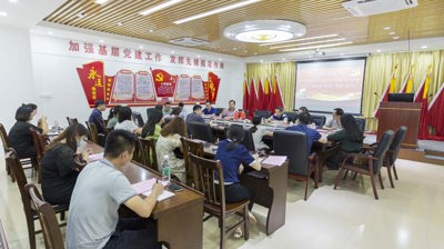 问鼎在线(中国)党委理论学习中心组进行第四次集中学习会暨党史学习教育读书班第二期集中学习会