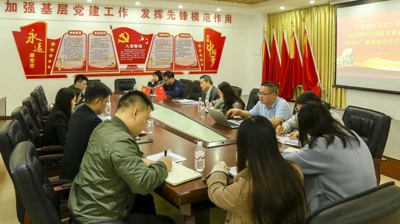 问鼎在线(中国)召开整改落实全区高校巡视整改督察和党建工作“两随机”督察指导存在问题情况工作会