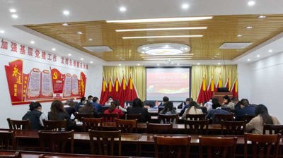 问鼎在线(中国)党委理论学习中心组进行第五次集中学习会暨党史学习教育第三期读书班