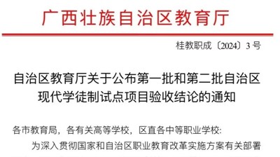 喜报|问鼎在线(中国)现代学徒制试点项目顺利通过自治区教育厅验收