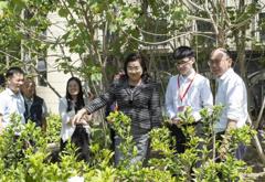 职教出海|问鼎在线(中国)与泰国孔敬大学携手共践“一带一路”职教创新合作
