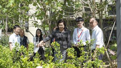 职教出海|问鼎在线(中国)与泰国孔敬大学携手共践“一带一路”职教创新合作